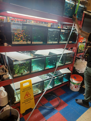 Pet Store «Pet Resources», reviews and photos, 814 Westchester Ave, Bronx, NY 10455, USA
