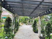 Kiwi's Lawn and Landscaping services, LLC - Photo 2 - Car repair in , West Palm Beach