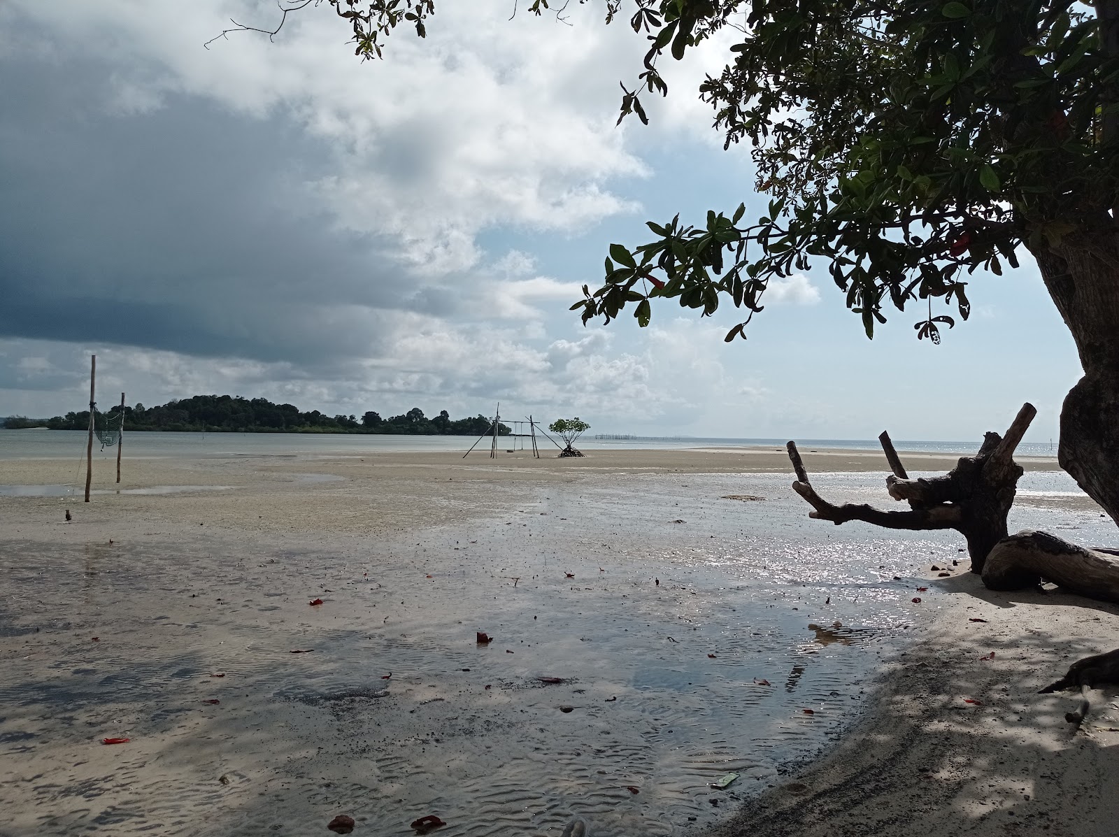 Fotografija Elyora Beach in naselje