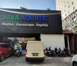 Java Reef Studio (pembuatan aquarium laut) photo