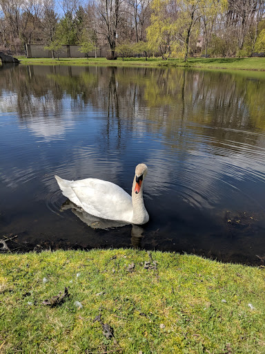 Park «Larz Anderson Park», reviews and photos, 325 Goddard Ave, Brookline, MA 02445, USA