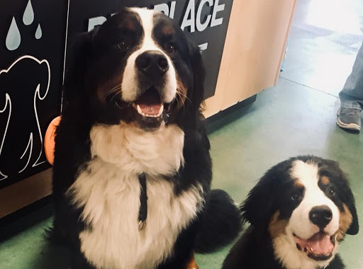 Pet Supply Store «Pet Place Market», reviews and photos, 213 Bendigo Blvd N #2, North Bend, WA 98045, USA