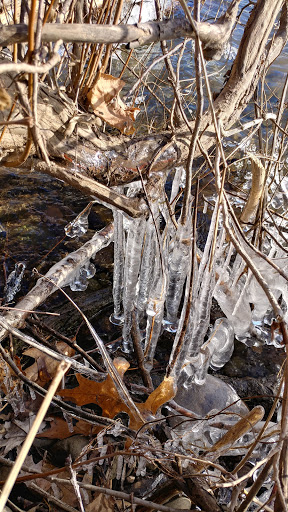 Pet Supply Store «PetSmart», reviews and photos, 1742 E 3rd St, Williamsport, PA 17701, USA