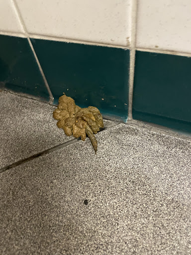 Movie Theater «AMC Barton Creek Square 14», reviews and photos, 2901 S Capital of Texas Hwy, Austin, TX 78746, USA