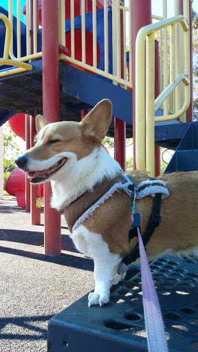 Park «Angel Park», reviews and photos, Angel Park Trail, Las Vegas, NV 89145, USA