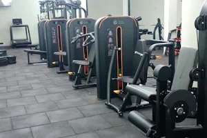 GreatLifeIndia - Fitness and Gym Equipments Wholesaler image