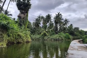 Sengal Anai(Dam) image