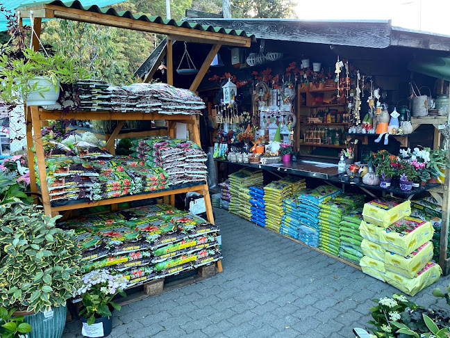 Telefonszám: New Garden Kertészet Hűvösvölgy