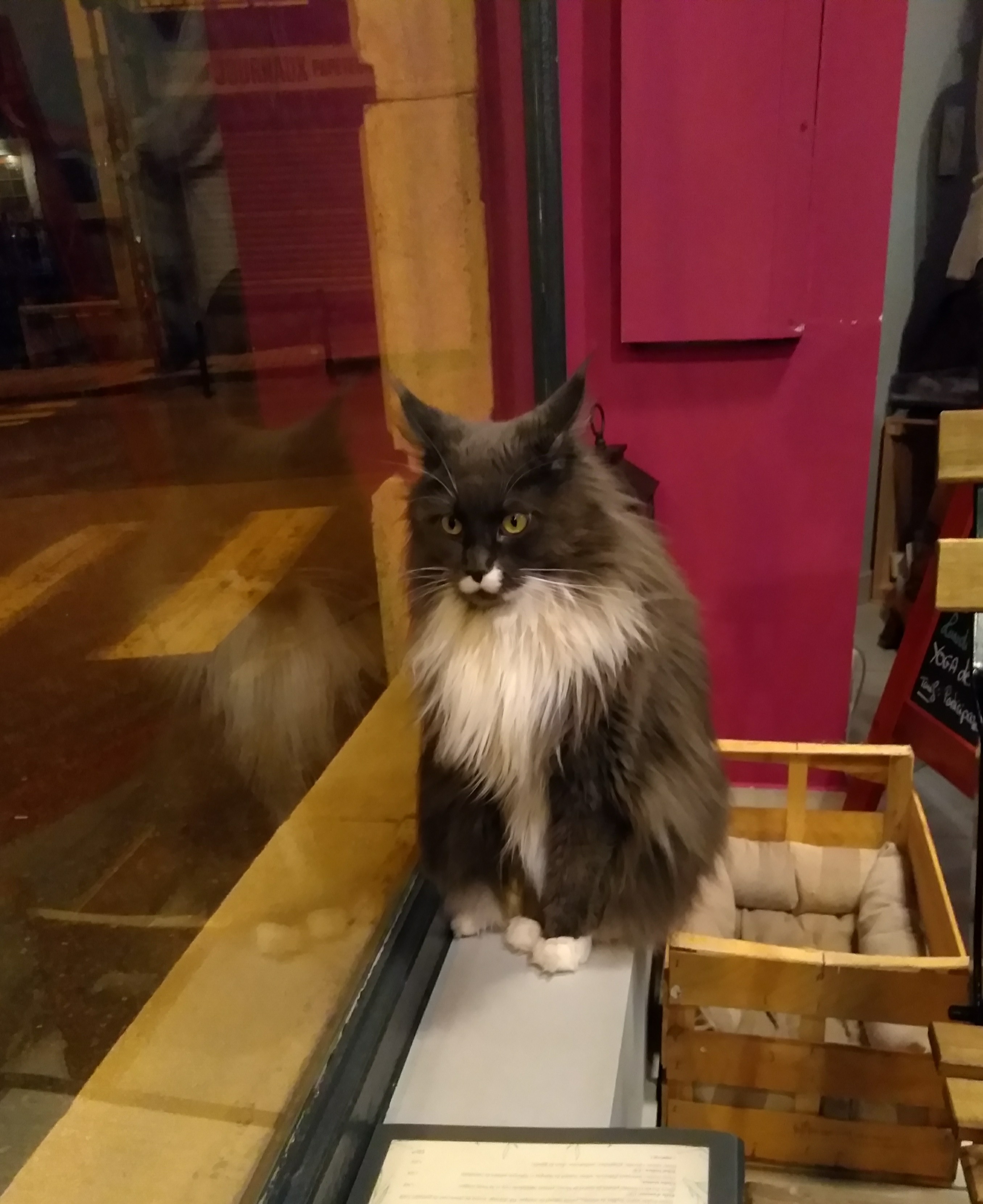 Photo n° 1 de l'avis de Christiane.o fait le 27/02/2019 à 10:39