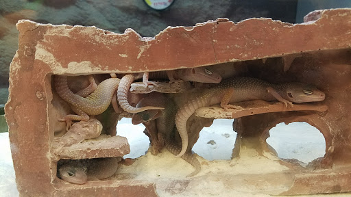 Pet Supply Store «Petco Animal Supplies», reviews and photos, 7721 Mentor Ave, Mentor, OH 44060, USA