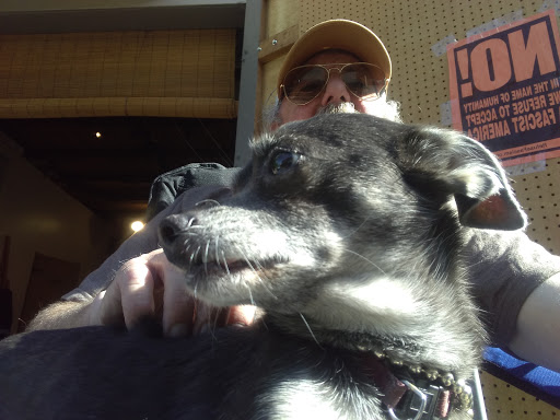 Non-Profit Organization «University Heights Center», reviews and photos, 5031 University Way NE, Seattle, WA 98105, USA