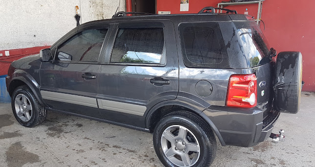 América Lavacar