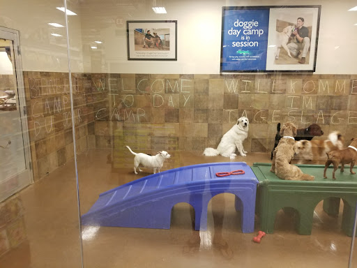 Pet Supply Store «PetSmart», reviews and photos, 21032 S Ellsworth Loop, Queen Creek, AZ 85142, USA