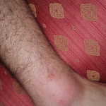 Photo n°1 de l'avis de Iridiana. fait le 07/02/2024 à 15:31 sur le  Hotel Torino à Venice