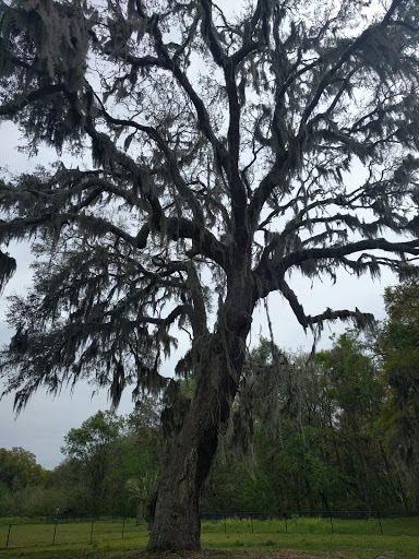 Park «Southside Park», reviews and photos, Southside Park Loop, Beaufort, SC 29902, USA