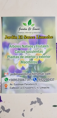 Jardin El Sauce Limache - Limache