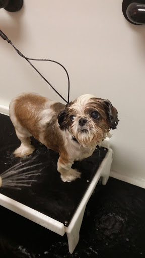 Pet Supply Store «EarthWise Pet», reviews and photos, 4880 Lower Roswell Rd #10, Marietta, GA 30068, USA