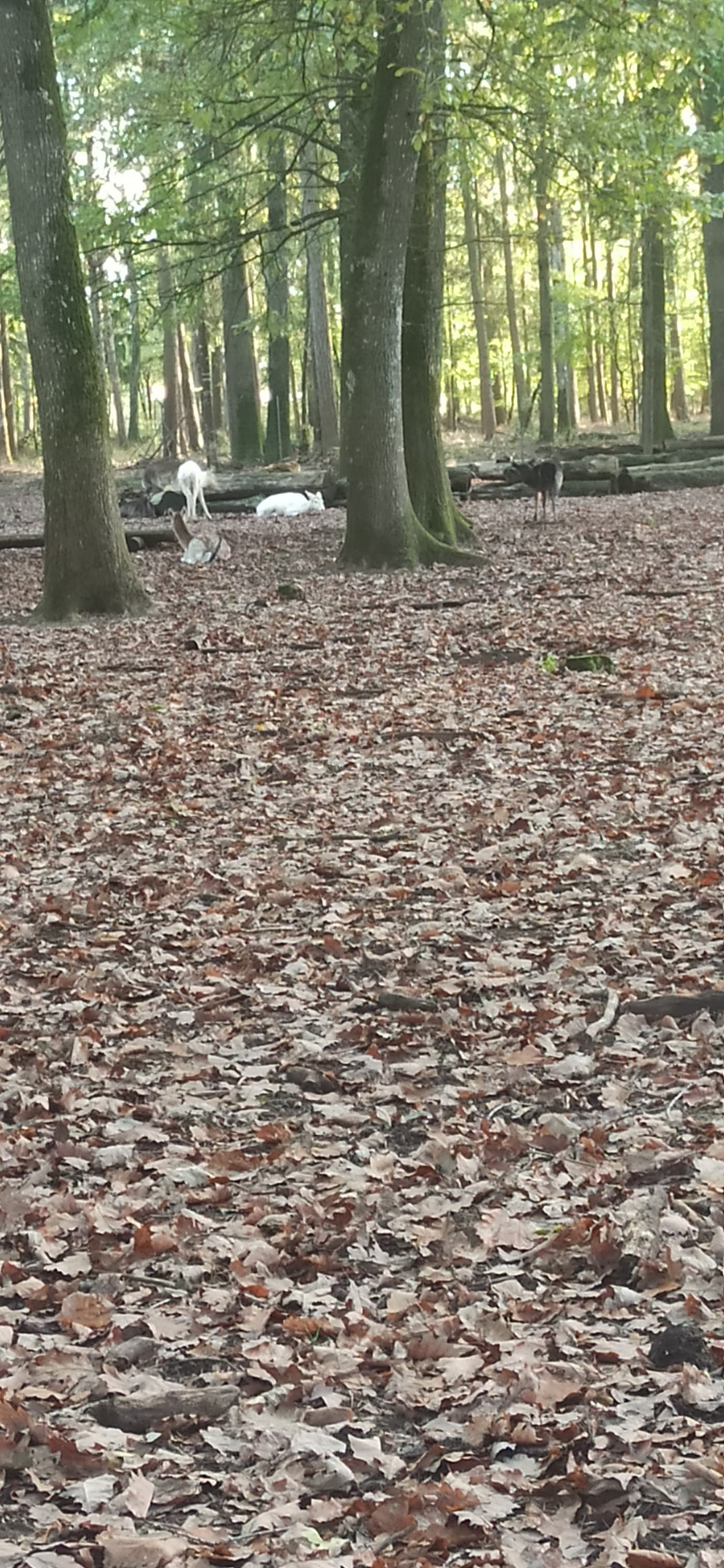 Photo n° 5 de l'avis de E.- fait le 10/11/2022 à 21:52
