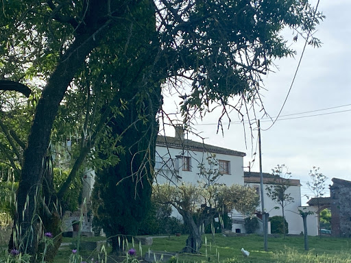 Información y opiniones sobre Can Cerda de Palau De Plegamans