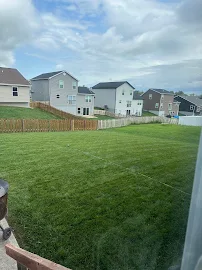 Kapp's Green Lawn - Car repair in St. Louis, MO, St Louis - Rated 4.1/5