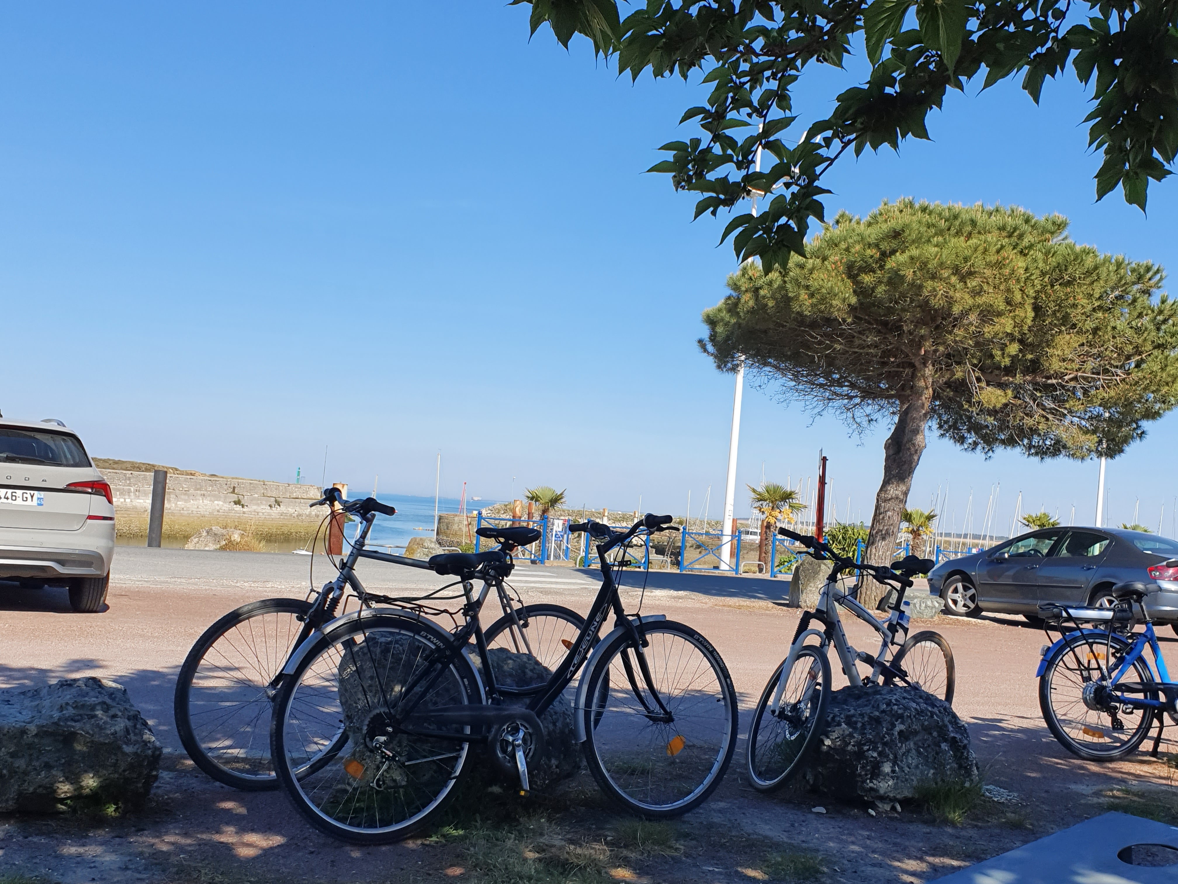 Photo n° 1 de l'avis de M. fait le 05/06/2019 à 07:01