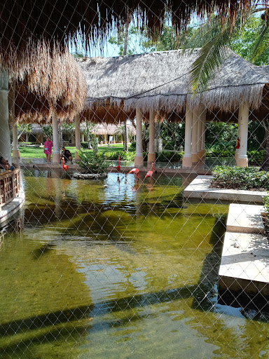 Drug Store «Walgreens», reviews and photos, 3401 Orchard Rd, Oswego, IL 60543, USA