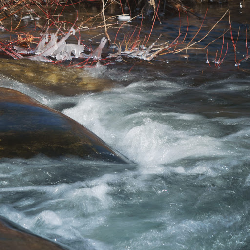 Park «Eisenhower Park», reviews and photos, 780 North St, Milford, CT 06461, USA