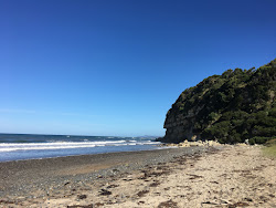 Photo de Fossil Bluff Beach entouré de montagnes