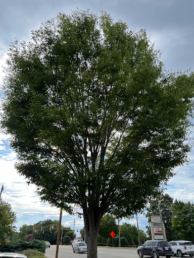 Corporate Campus «Goodwill Outlet», reviews and photos