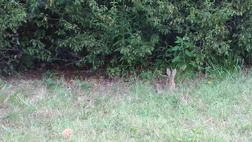 Park «Bob Eden Park», reviews and photos, 901 W Mid Cities Blvd, Euless, TX 76039, USA