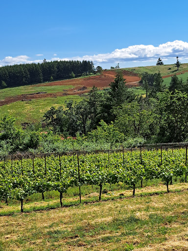 Vineyard «Cubanisimo Vineyards», reviews and photos, 1754 Best Rd NW, Salem, OR 97304, USA
