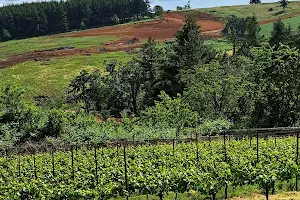 Cubanisimo Vineyards image