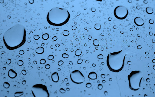 Rainforest Carwash & Oil Change Arcadia en Hattiesburg