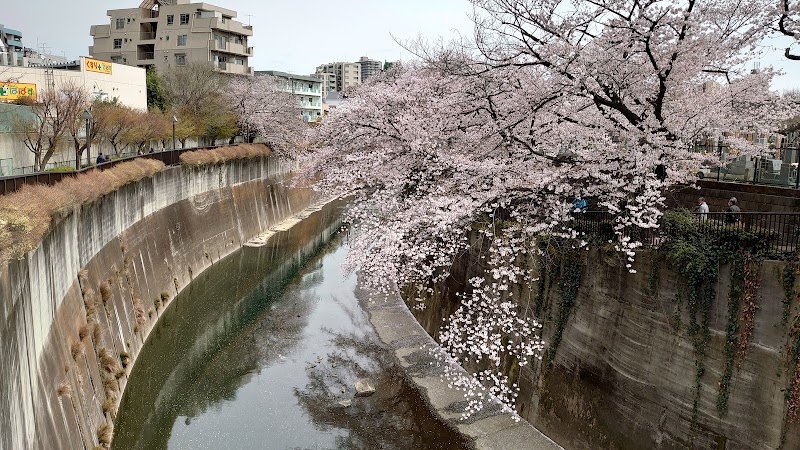 北区立音無さくら緑地