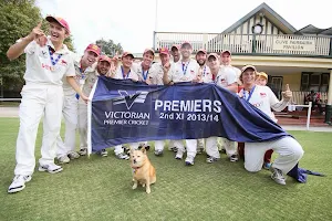 Fitzroy Doncaster Cricket Club image