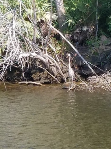 Boat Tour Agency «River Lilly Cruises», reviews and photos, 500 E Prima Vista Blvd, Port St Lucie, FL 34983, USA