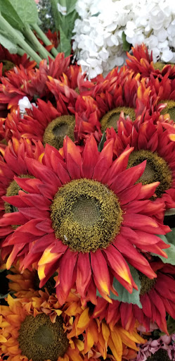 Craft Store «Michaels», reviews and photos, 365 Boardman-Canfield Rd, Boardman, OH 44512, USA