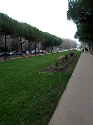 Photo n°12 de La Canopée à Perigny ()