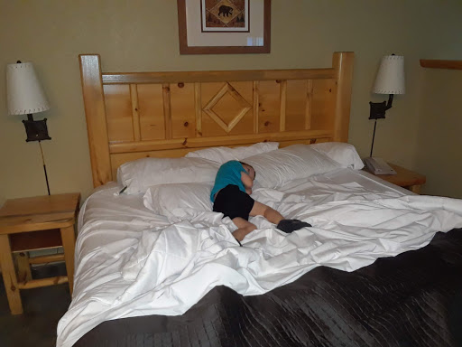 Resort «Great Wolf Lodge», reviews and photos, 100 Great Wolf Dr, Grapevine, TX 76051, USA