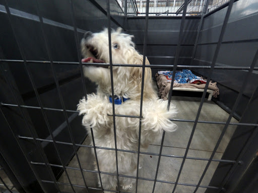 Insurance Agency «Integrity First Insurance», reviews and photos