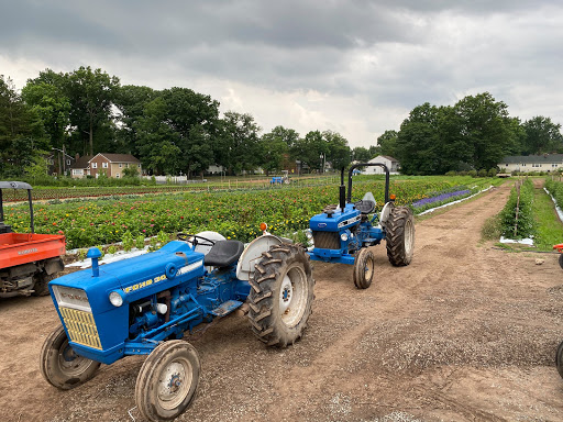 Farm «Dreyer Farms», reviews and photos, 831 Springfield Ave, Cranford, NJ 07016, USA