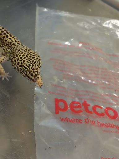 Pet Supply Store «Petco Animal Supplies», reviews and photos, 1820a W Uintah St, Colorado Springs, CO 80904, USA