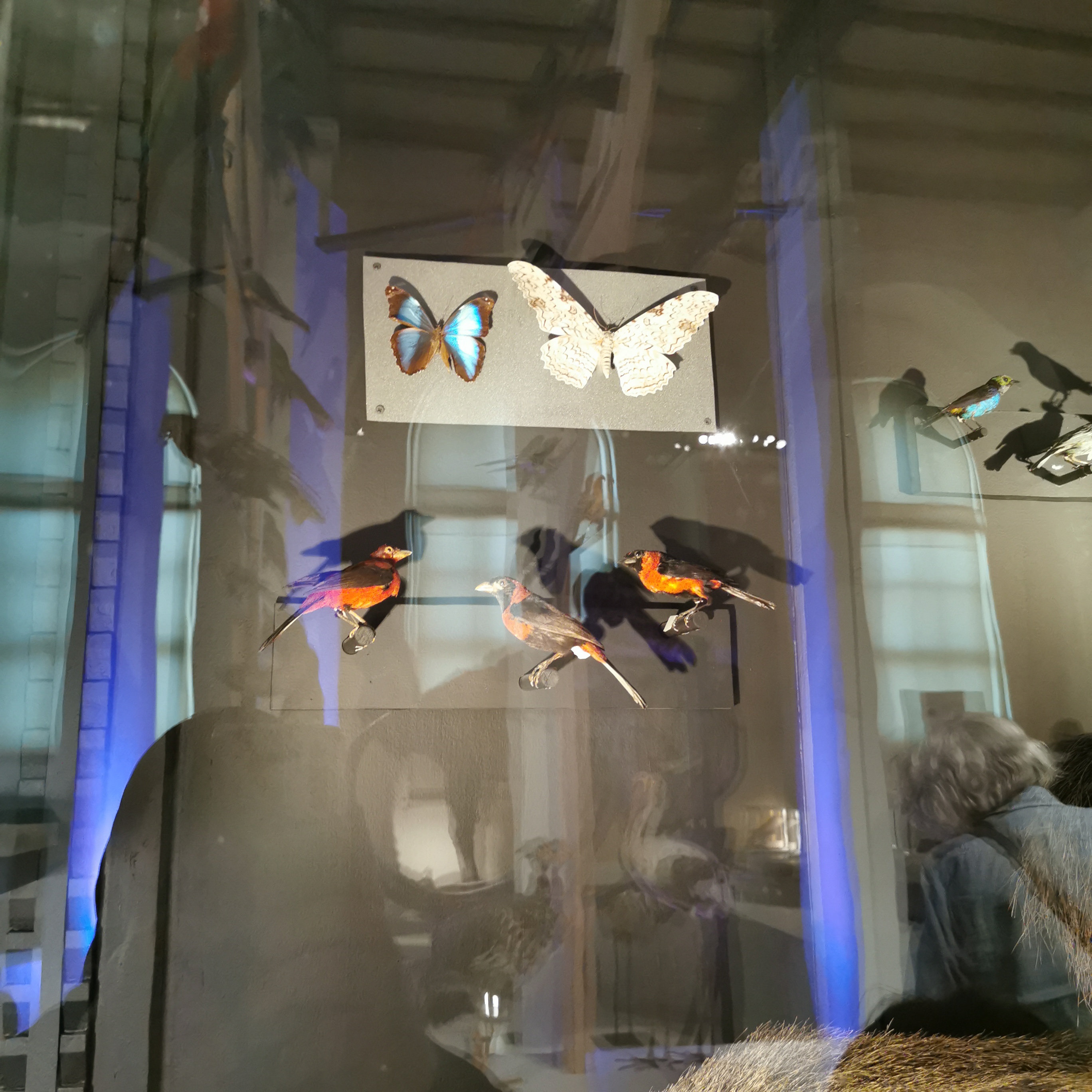 Photo n° 10 de l'avis de Laura.u fait le 22/12/2022 à 08:29