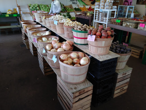 Grocery Store «Puzyckis market», reviews and photos, 15690-15698 Bedford Cir W, Clearwater, FL 33764, USA