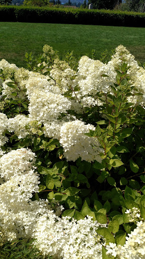 Golf Course «Blue Boy West Golf Course», reviews and photos, 27927 Florence Acres Rd, Monroe, WA 98272, USA