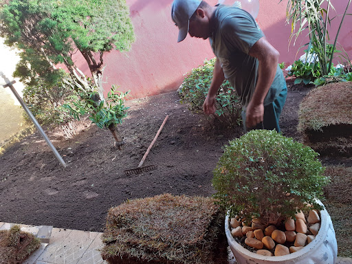 Logo da empresa - PRD Jardinagem