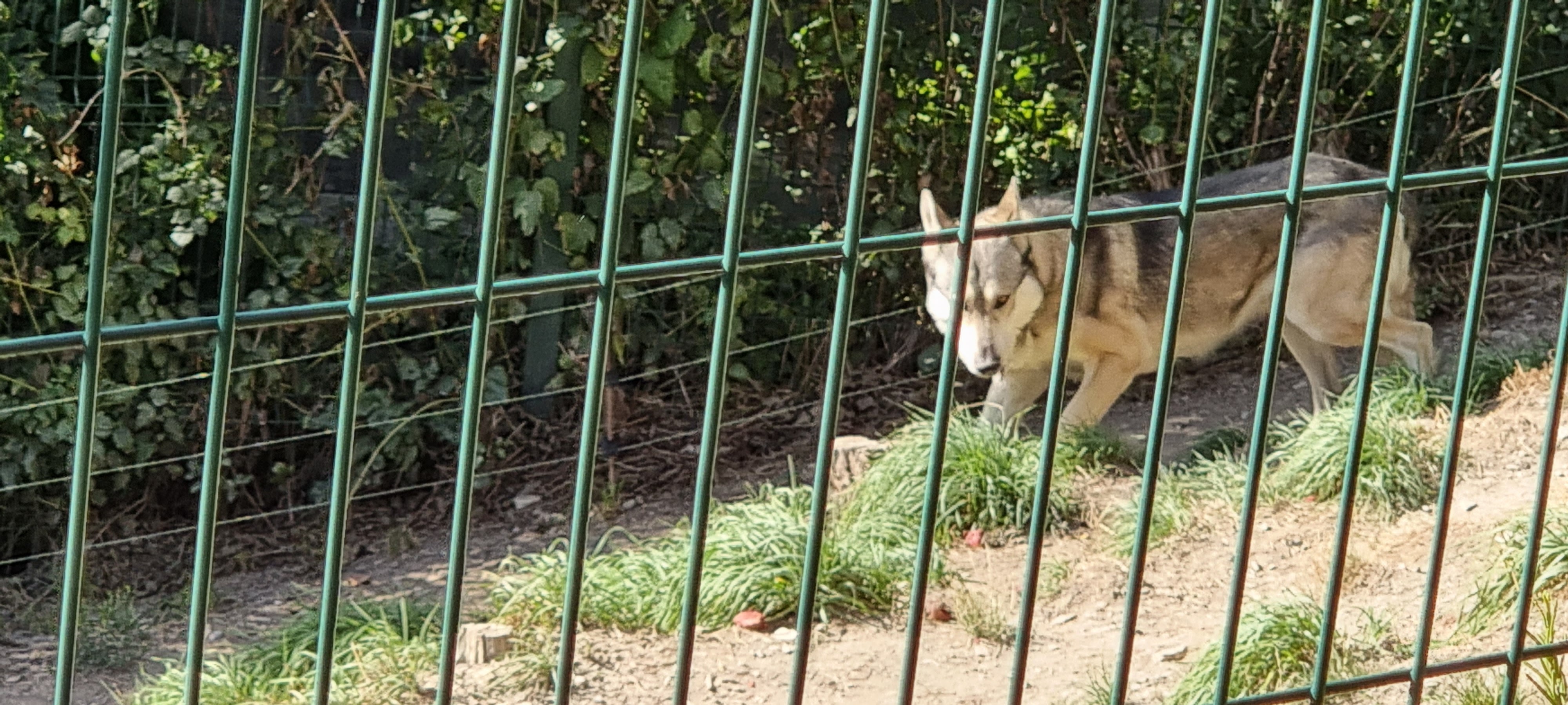 Photo n° 6 de l'avis de Didier.E fait le 03/09/2022 à 06:54