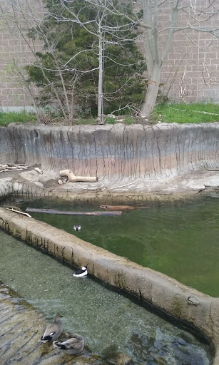 Zoo «Buttonwood Park Zoo», reviews and photos, 425 Hawthorn St, New Bedford, MA 02740, USA