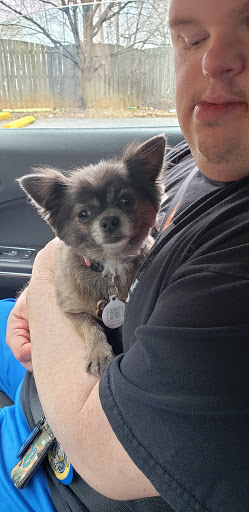 Pet Groomer «Shear Elegance Pet Boutique», reviews and photos, 918 John Marshall Hwy, Front Royal, VA 22630, USA