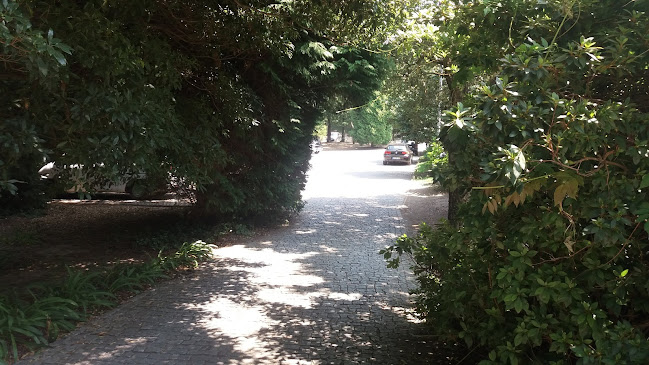 Residências Montepio - Fisioterapeuta